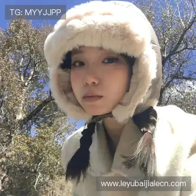 凤鲁庄